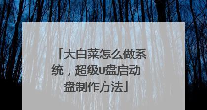 大白菜4.6u盘装系统教程（简单操作轻松搞定）