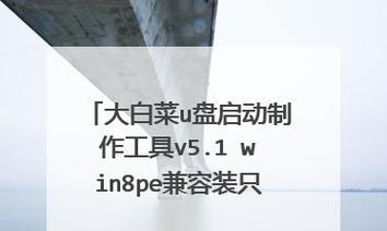 使用U盘大白菜装系统教程Win8（一键安装Windows8，U盘启动，轻松装机）