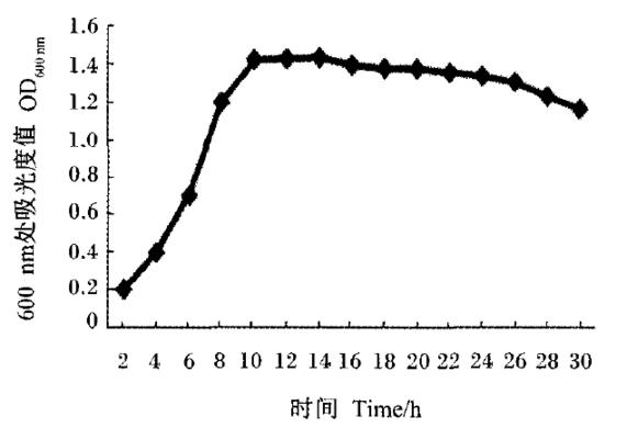 延长衰亡期的秘诀（如何掌握关键策略来延缓衰亡期的到来）