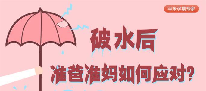 探索半米孕期的奇妙旅程（体验身临其境的宝宝成长过程，认识半米孕期的各个阶段）