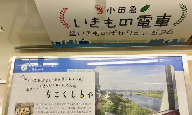 相模电子（以高品质产品和卓越服务赢得市场）