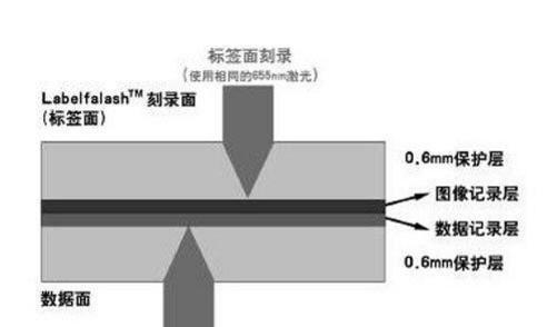 如何将文件刻录到DVD光盘中（一步步学习如何将文件转移到可靠的DVD光盘上）