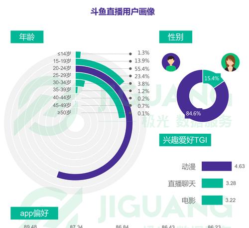 极光统计的优势与应用（深度解析极光统计在数据分析中的关键作用）