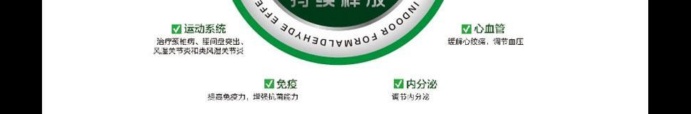 贝尔970（体验贝尔970带来的无限可能）