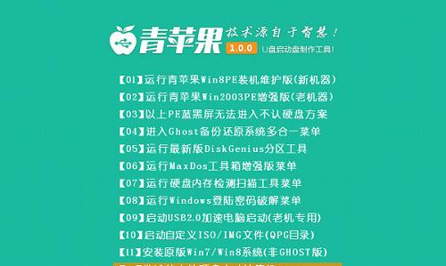 U盘装Mac系统教程（使用U盘安装Mac系统的详细步骤与所需软件）