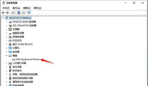 笔记本自带键盘失灵了怎么办？（解决笔记本键盘失灵问题的实用方法）